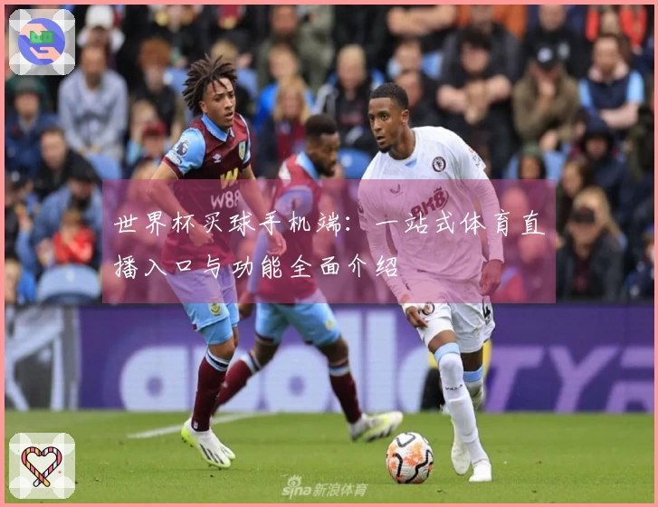 世界杯买球手机端：一站式体育直播入口与功能全面介绍