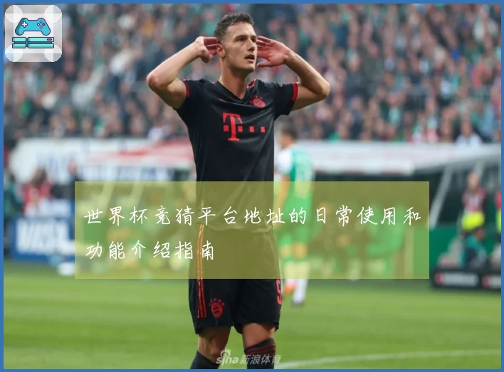 世界杯竞猜平台地址的日常使用和功能介绍指南