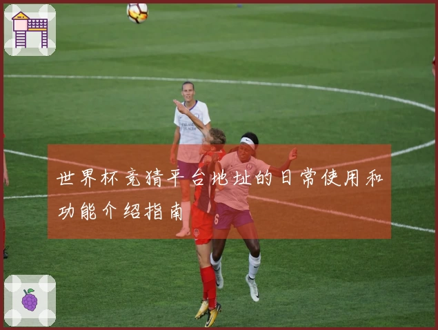 世界杯竞猜平台地址的日常使用和功能介绍指南