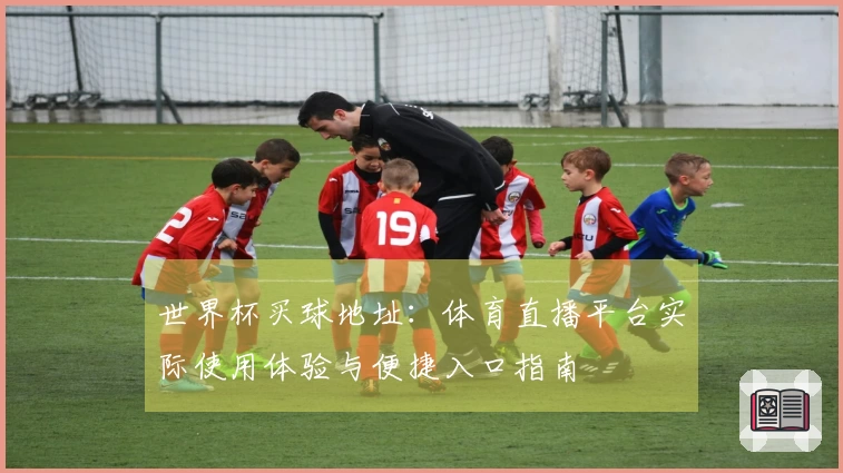 世界杯买球地址：体育直播平台实际使用体验与便捷入口指南