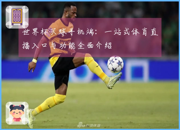 世界杯买球手机端：一站式体育直播入口与功能全面介绍