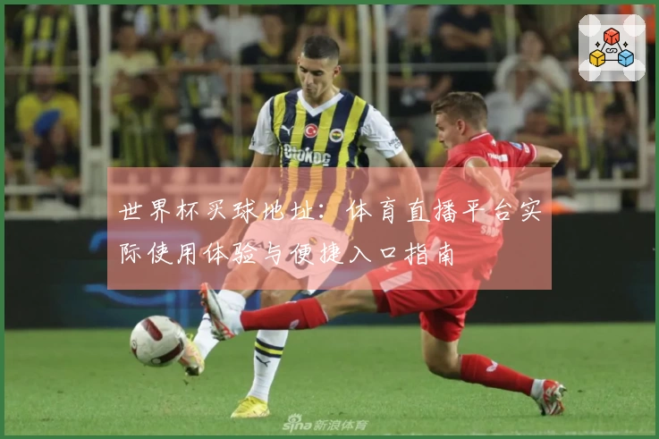 世界杯买球地址：体育直播平台实际使用体验与便捷入口指南