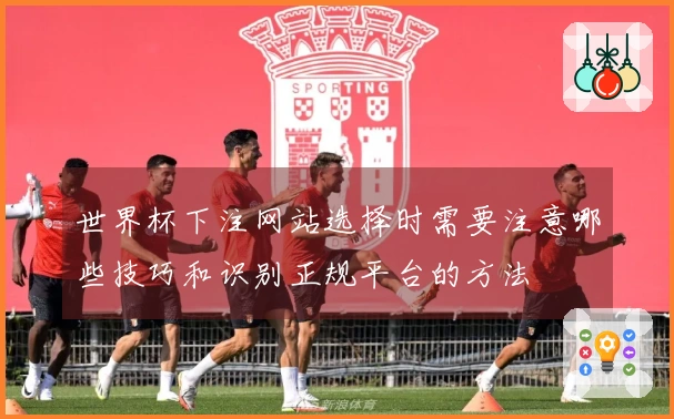 世界杯下注网站选择时需要注意哪些技巧和识别正规平台的方法